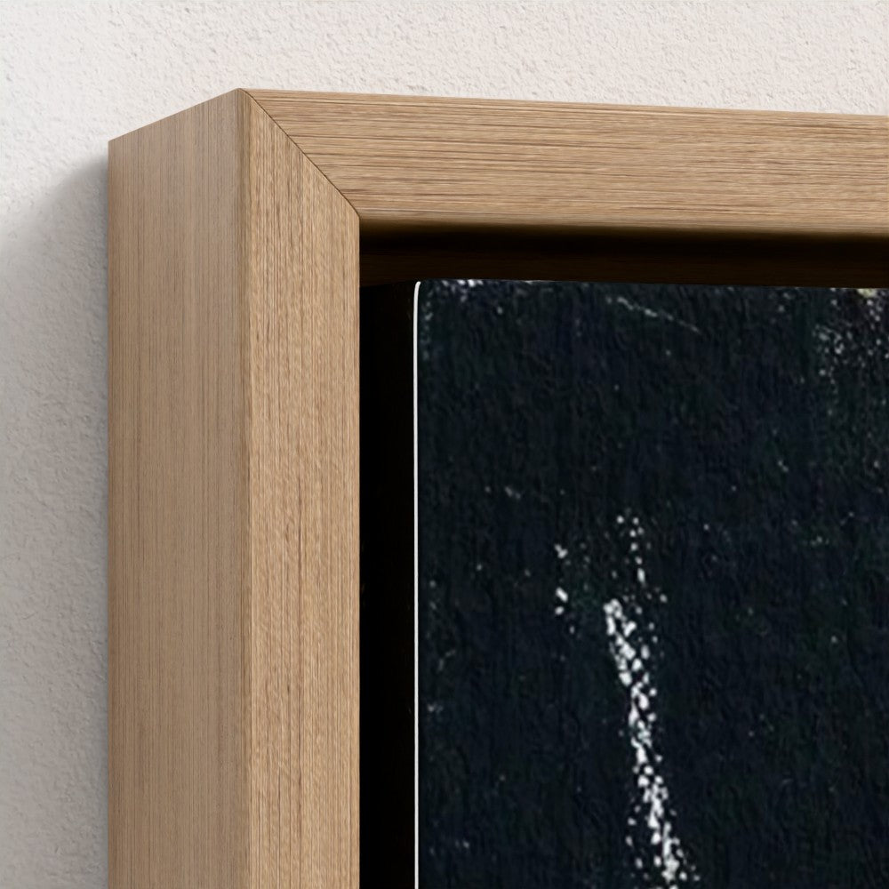 prodigi-media-sync:v1:DNA:framed-canvas/natural/closeup