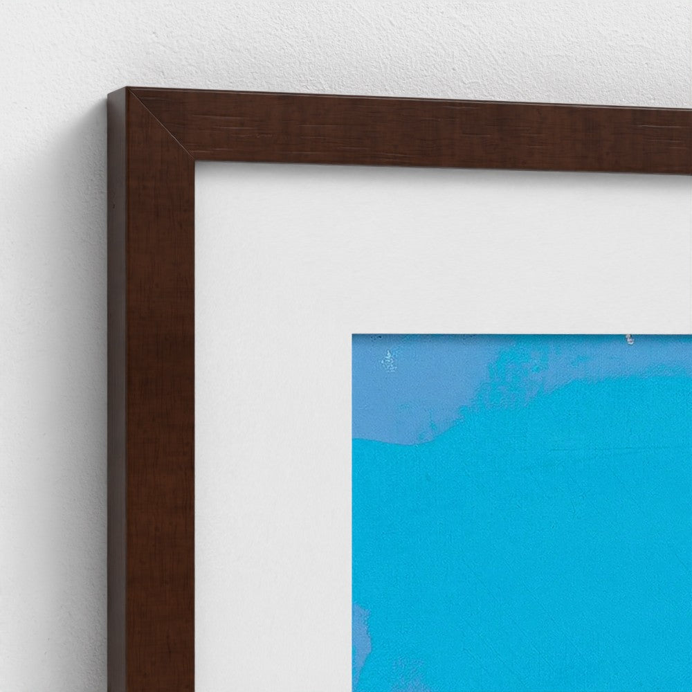 prodigi-media-sync:v1:Down To The Bone:classic-framed-mat/brown/closeup