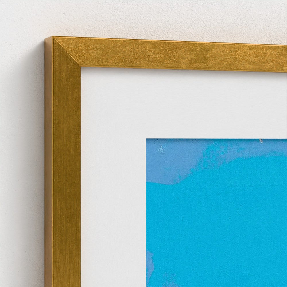 prodigi-media-sync:v1:Down To The Bone:classic-framed-mat/gold/closeup