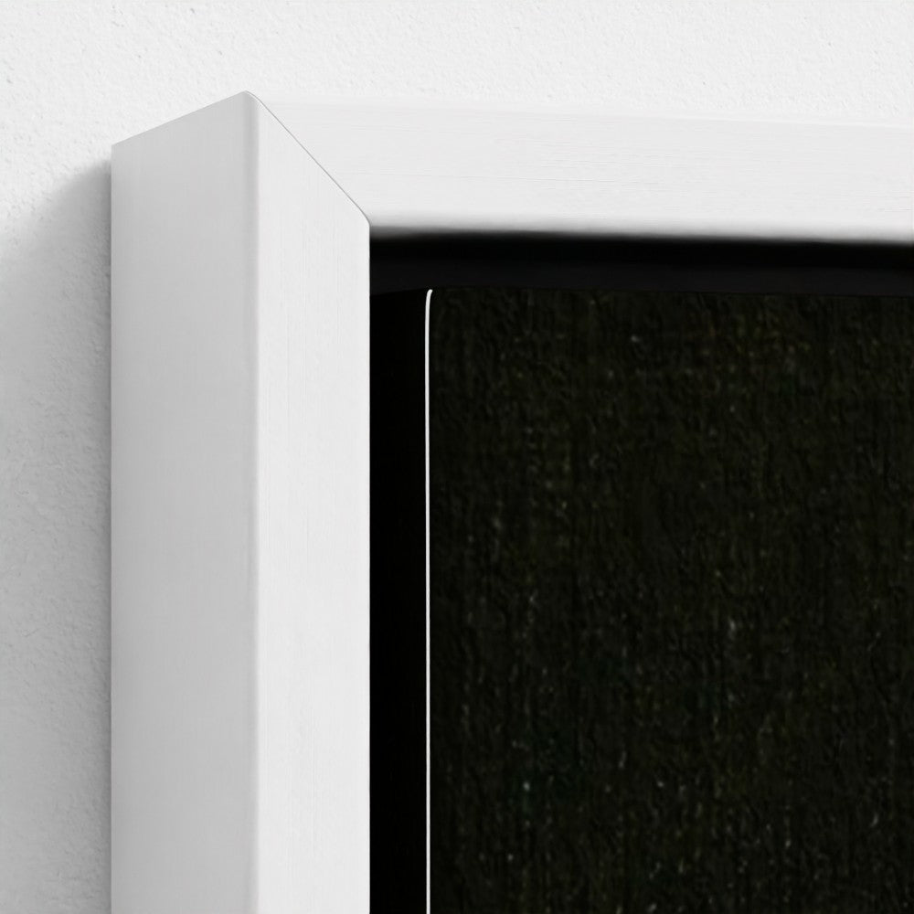 prodigi-media-sync:v1:Prism:framed-canvas/white/closeup