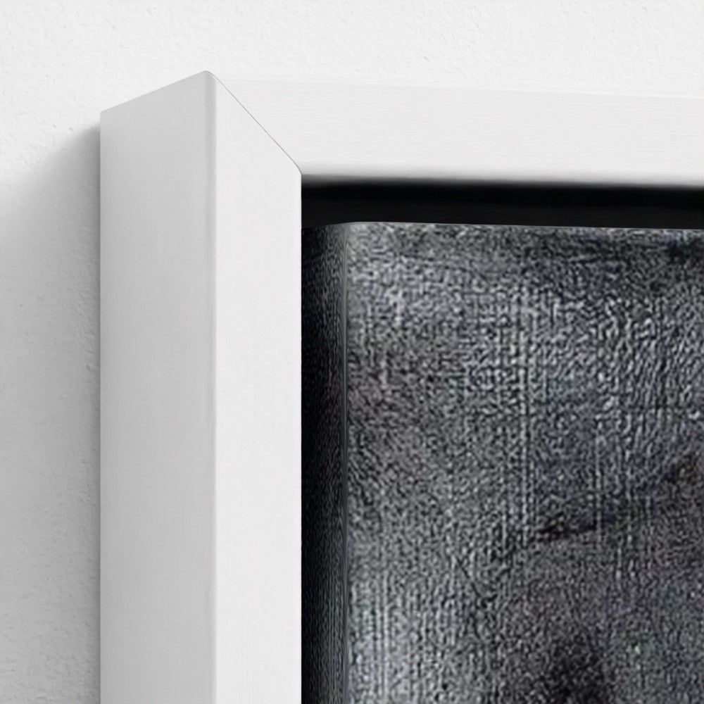 prodigi-media-sync:v1:Stable:framed-canvas/white/closeup